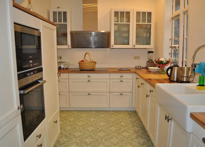 Lazy Elbfish * Lauenburg/Elbe